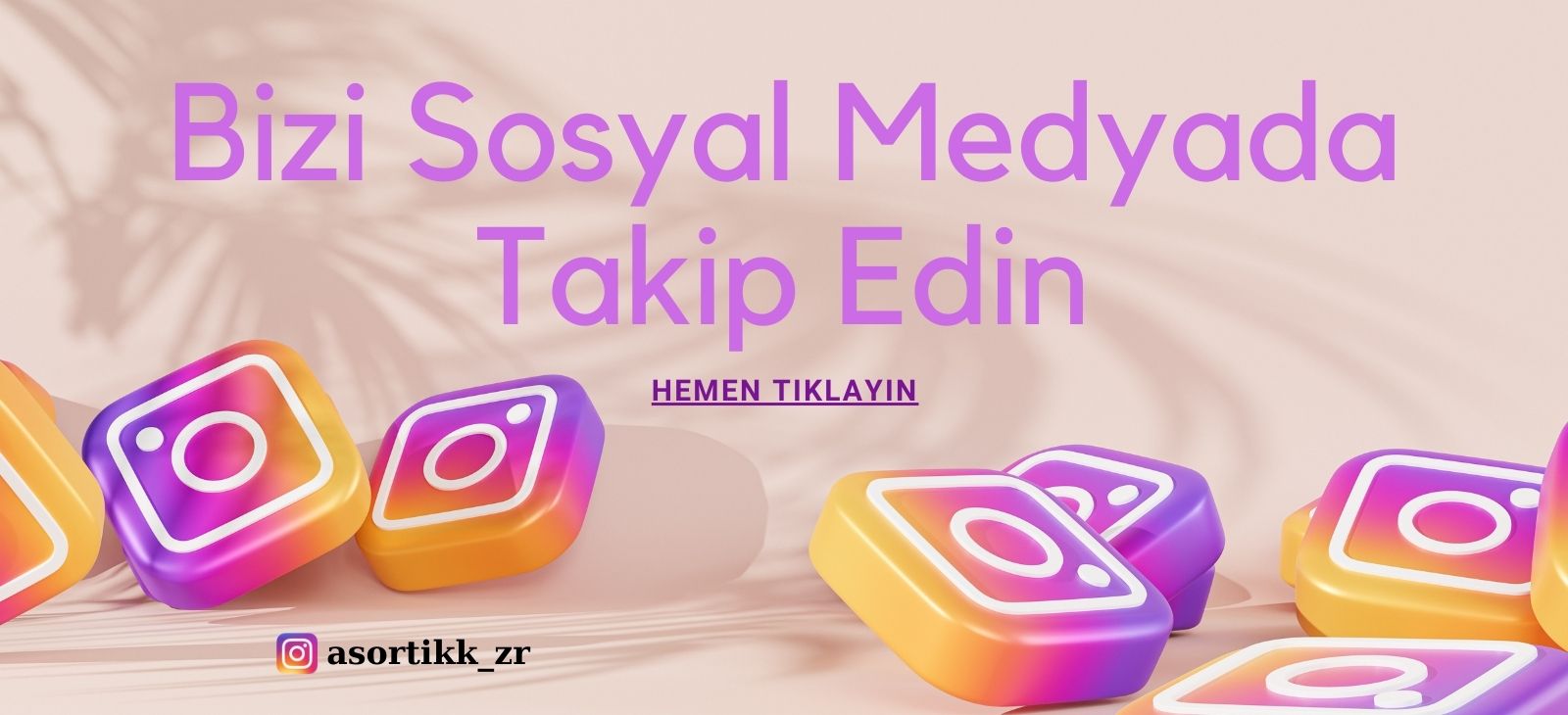 asortikslider02